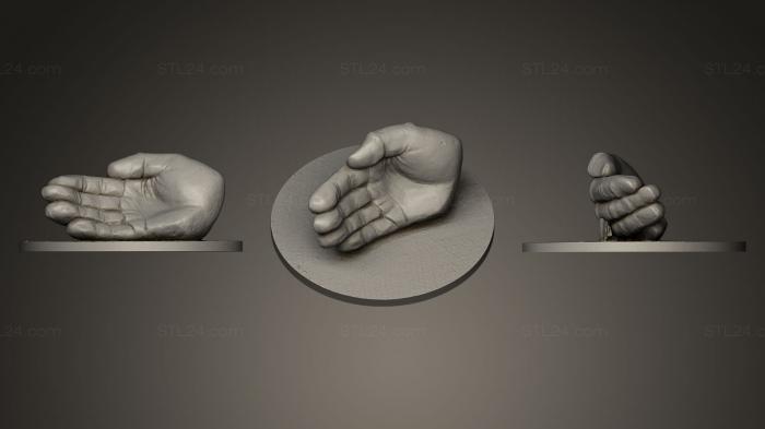 Anatomy of skeletons and skulls (The Hand Meir, ANTM_0054) 3D models for cnc